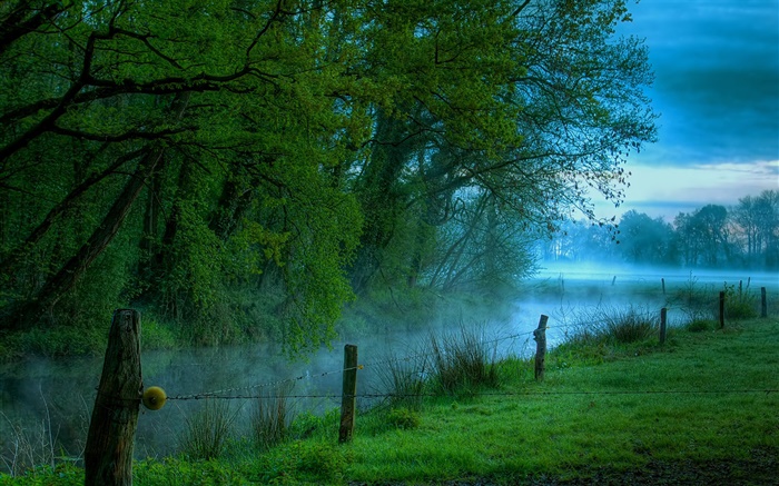 natureza cenário manhã, prado, grama, rio, névoa Papéis de Parede, imagem