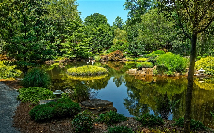 Gibbs Gardens, EUA, lagoa, árvores, grama Papéis de Parede, imagem