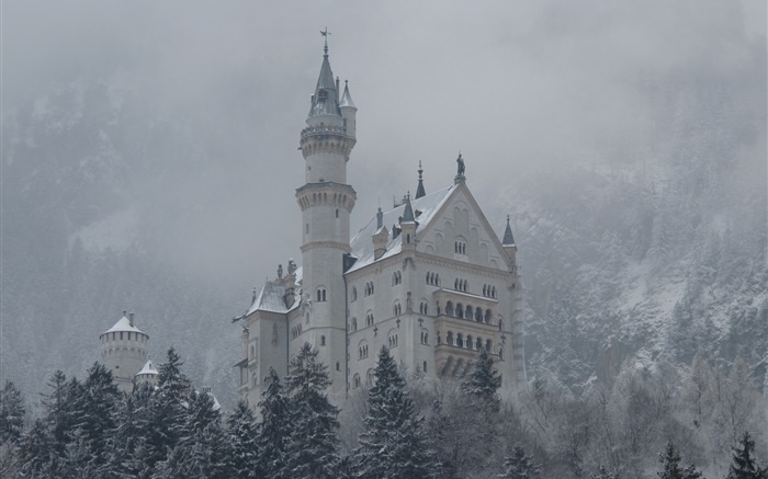 Neuschwanstein, castelo, montanhas, árvores, neve Papéis de Parede, imagem
