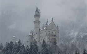 Neuschwanstein, castelo, montanhas, árvores, neve