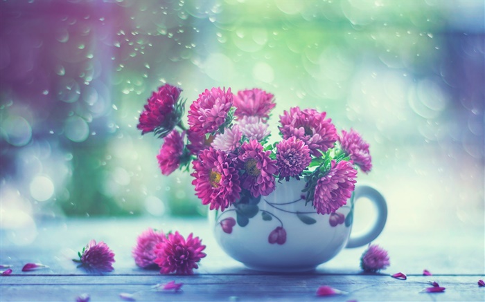flores cor de rosa, copo, chuva Papéis de Parede, imagem