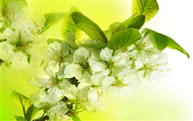 Apple branco flores, florescência, ramos, primavera