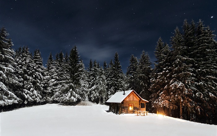 Inverno, neve, árvores, noite, cabana Papéis de Parede, imagem