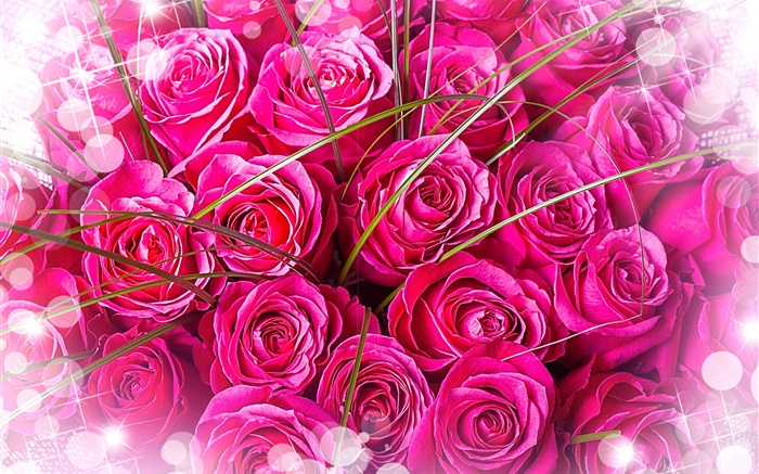 Rosa, rosas, buquet, brilho Papéis de Parede, imagem