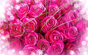 Rosa, rosas, buquet, brilho HD Papéis de Parede