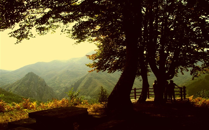 Árvores, montanha, crepúsculo Papéis de Parede, imagem