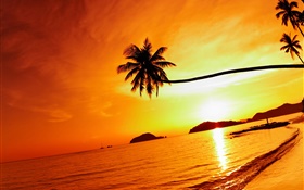 Tropical praia pôr do sol, palmeira, Tailândia HD Papéis de Parede
