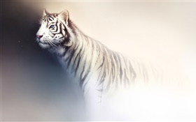 Pintura branca da aguarela do tigre HD Papéis de Parede