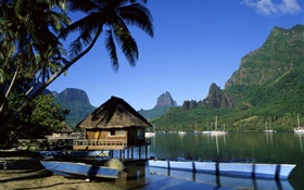 Resort, casa, palmeiras, mar, montanhas HD Papéis de Parede