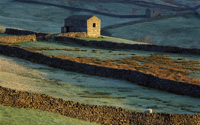 Casa de pedra, cerca, grama, ovelha Papéis de Parede, imagem