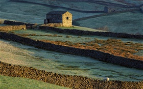 Casa de pedra, cerca, grama, ovelha