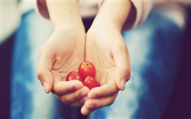 Pequeno, tomate, mãos