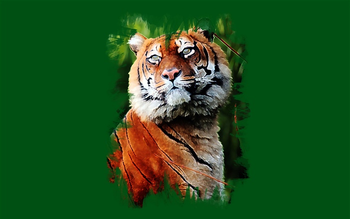 Arte pintura, tigre, fundo verde Papéis de Parede, imagem
