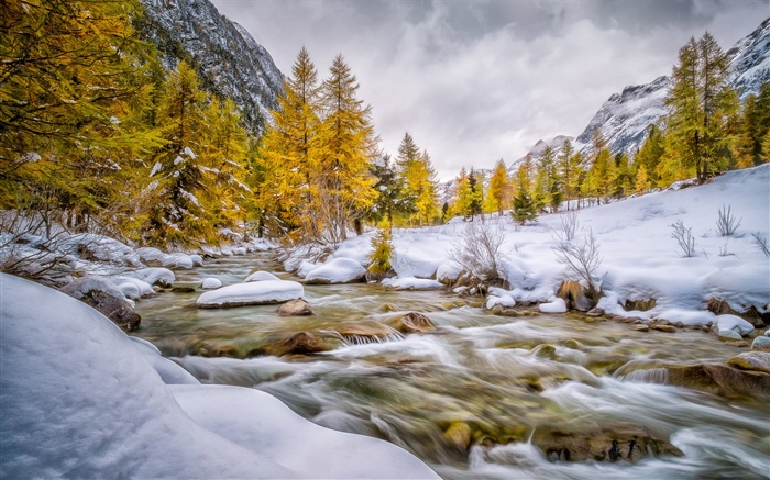 Inverno, neve, árvores, riacho Papéis de Parede, imagem