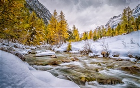 Inverno, neve, árvores, riacho HD Papéis de Parede