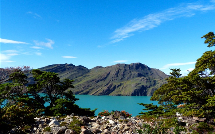 Argentina, Patagônia, lago, montanhas, árvores Papéis de Parede, imagem