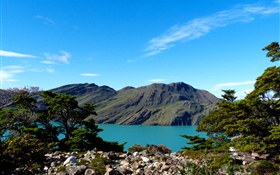Argentina, Patagônia, lago, montanhas, árvores HD Papéis de Parede