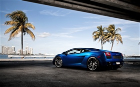 Supercarro azul de Lamborghini, palmeiras HD Papéis de Parede