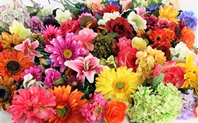 Flores diferentes coloridas dos tipos HD Papéis de Parede