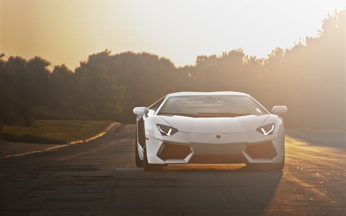 Opinião dianteira do supercarro branco de Lamborghini, luz solar Papéis de Parede, imagem