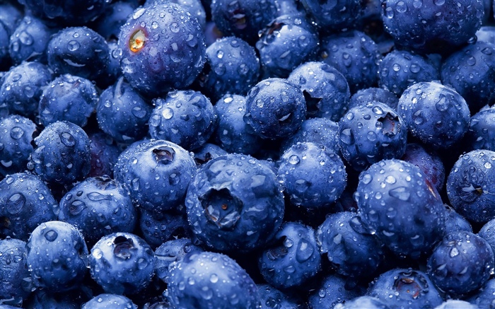 Muitos blueberries, gotas de água Papéis de Parede, imagem