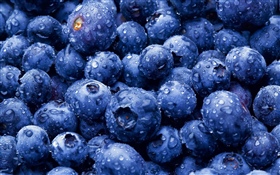 Muitos blueberries, gotas de água HD Papéis de Parede