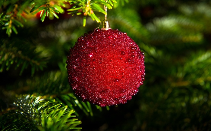Esfera vermelha do Natal Papéis de Parede, imagem