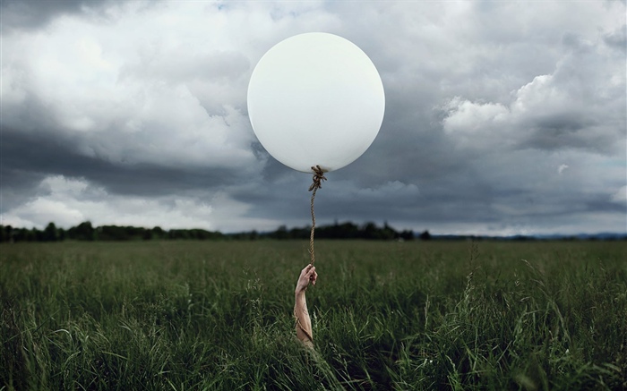 Balão branco, grama Papéis de Parede, imagem