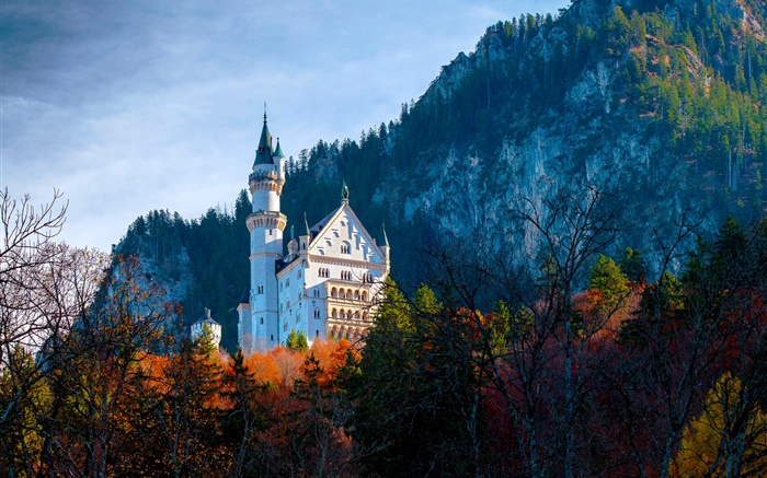 Alemanha, Baviera, Neuschwanstein Castle, outono Papéis de Parede, imagem
