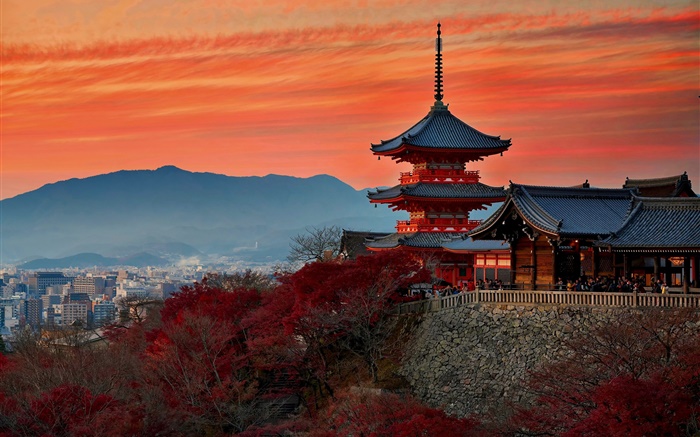 Japão, Kyoto, templo, outono, anoitecer Papéis de Parede, imagem