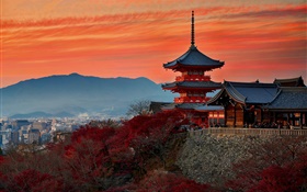 Japão, Kyoto, templo, outono, anoitecer HD Papéis de Parede