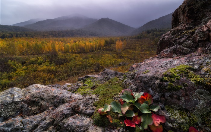 Montanhas, nevoeiro, pedras, floresta, outono Papéis de Parede, imagem