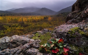 Montanhas, nevoeiro, pedras, floresta, outono HD Papéis de Parede