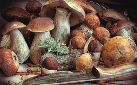 Alguns cogumelos, comida HD Papéis de Parede