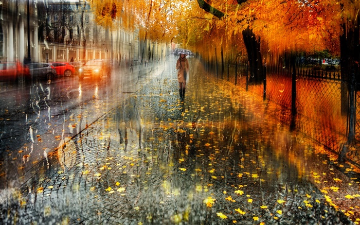 Outono, cidade, chuva, árvores, garota, estrada, carros Papéis de Parede, imagem