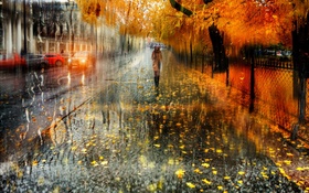 Outono, cidade, chuva, árvores, garota, estrada, carros HD Papéis de Parede