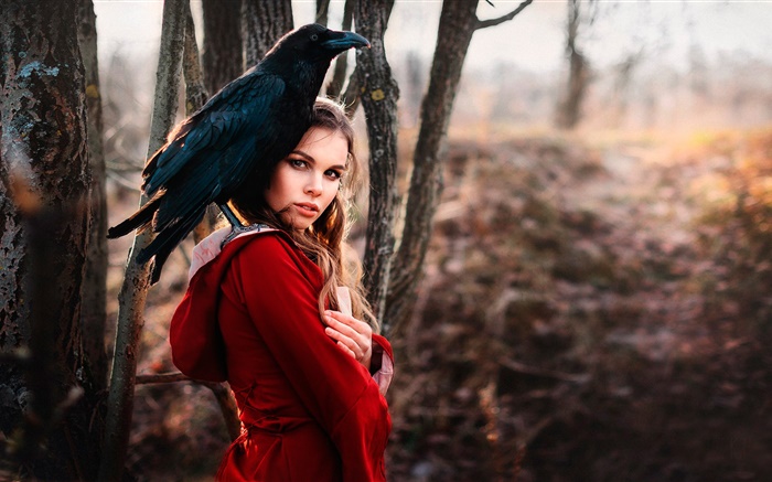 Garota de vestido vermelho, corvo Papéis de Parede, imagem